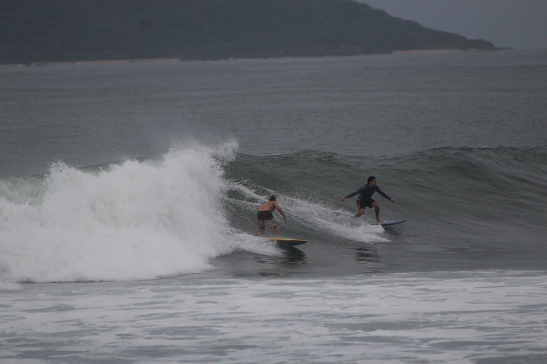 Cómo elegir la tabla de surf perfecta para tu nivel de habilidad