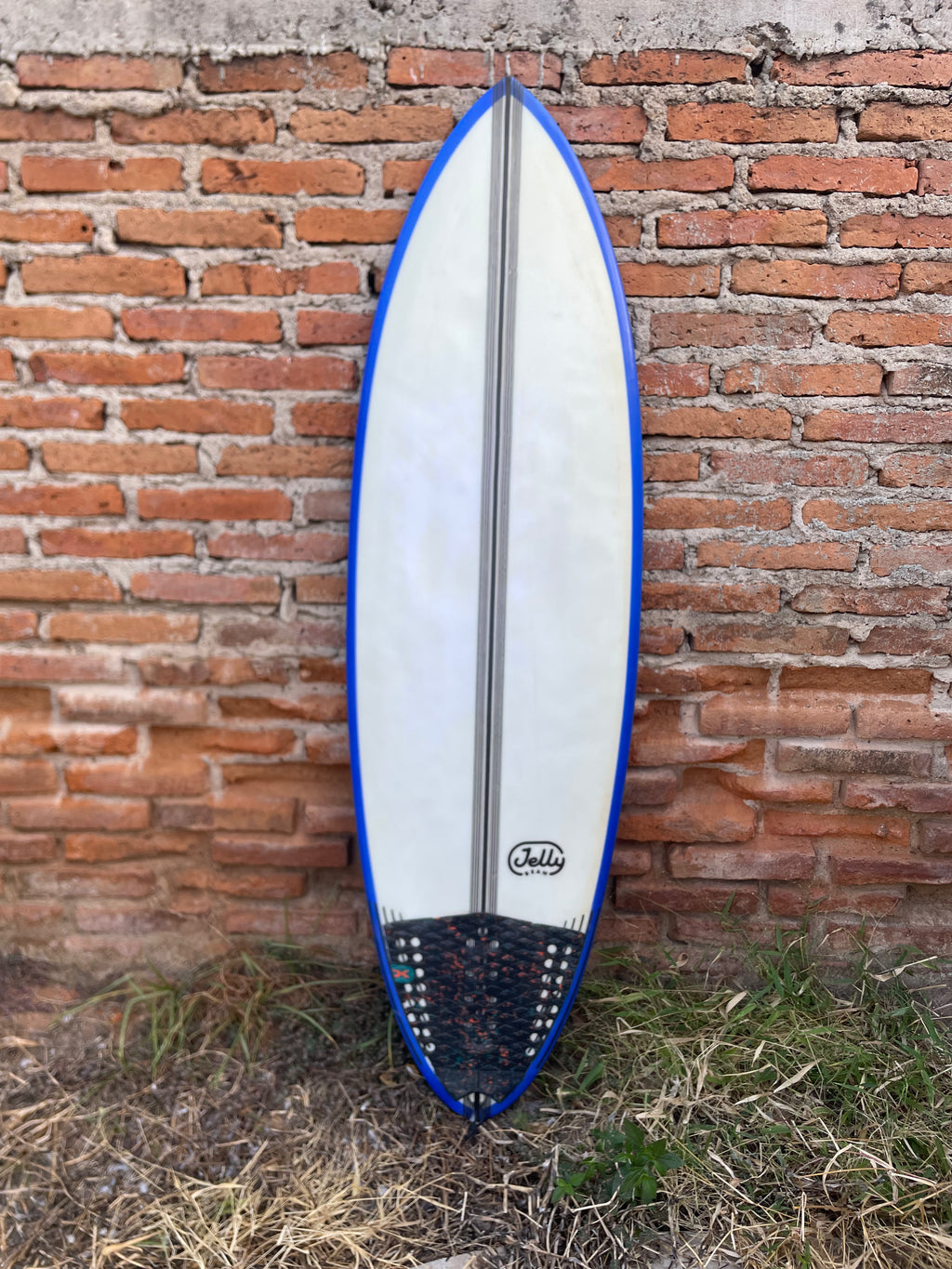 5'7" Jelly - Kelly Bean