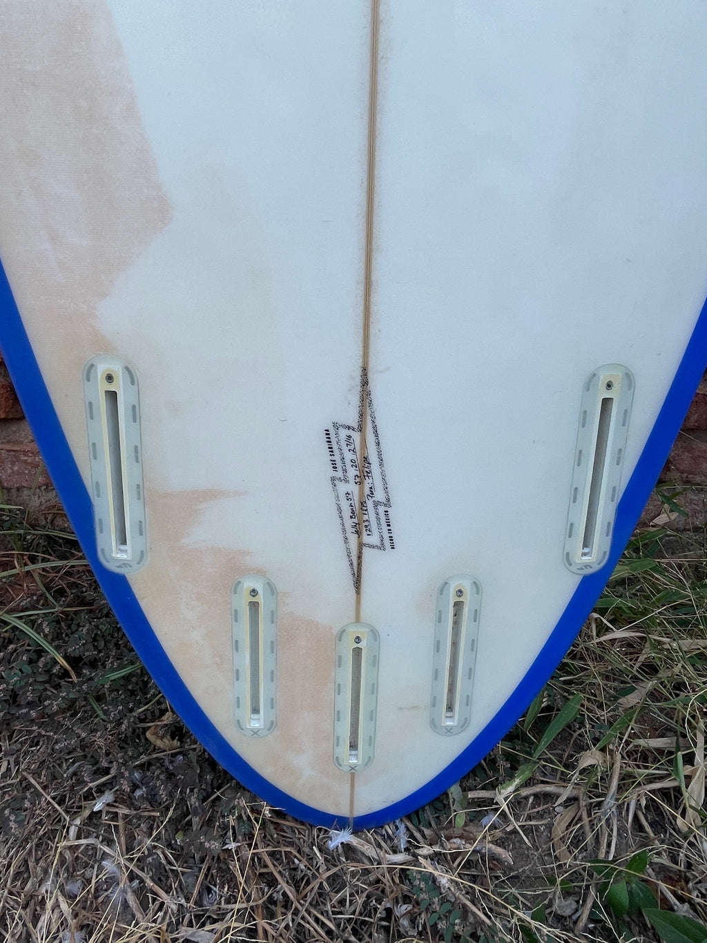 5'7" Jelly - Kelly Bean