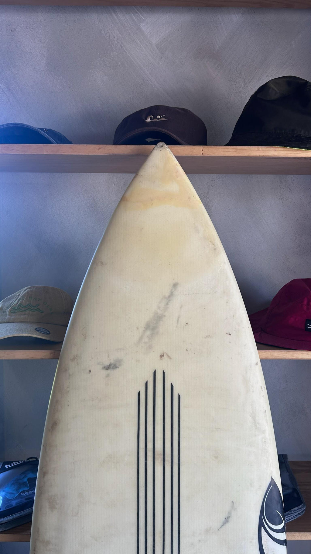 5'6” SHARP EYE STORMS