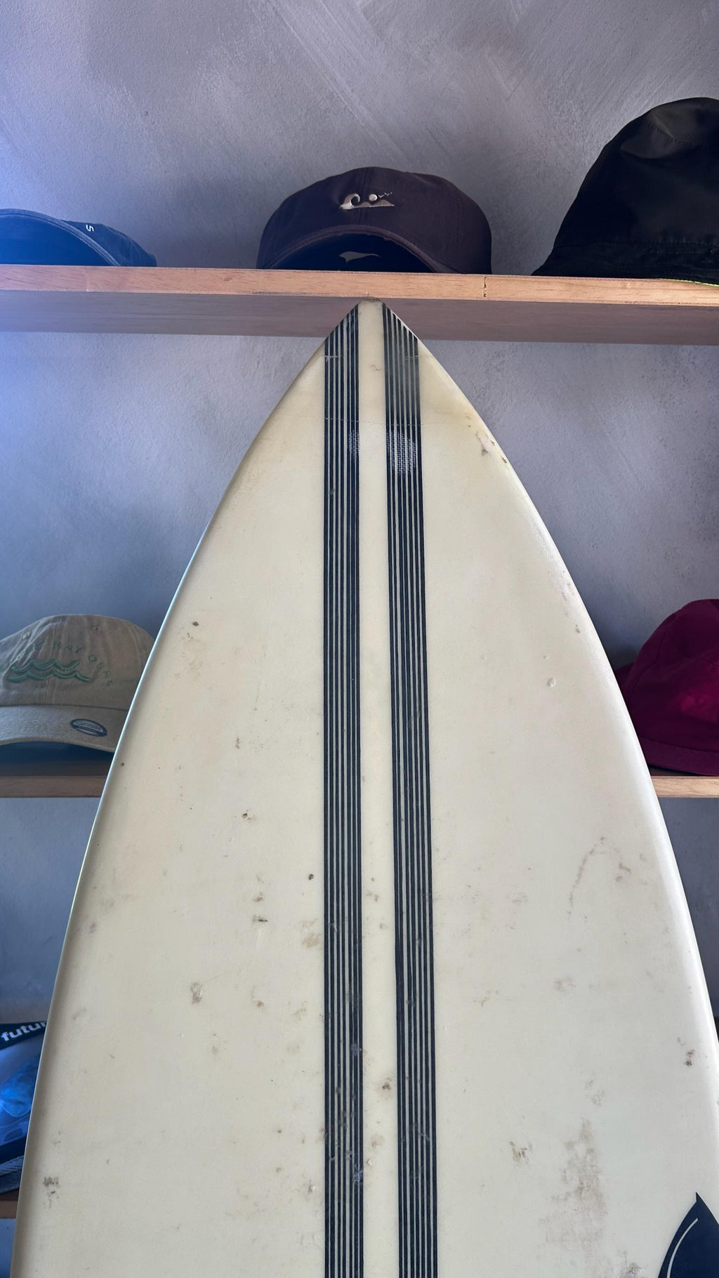 5'6” SHARP EYE STORMS