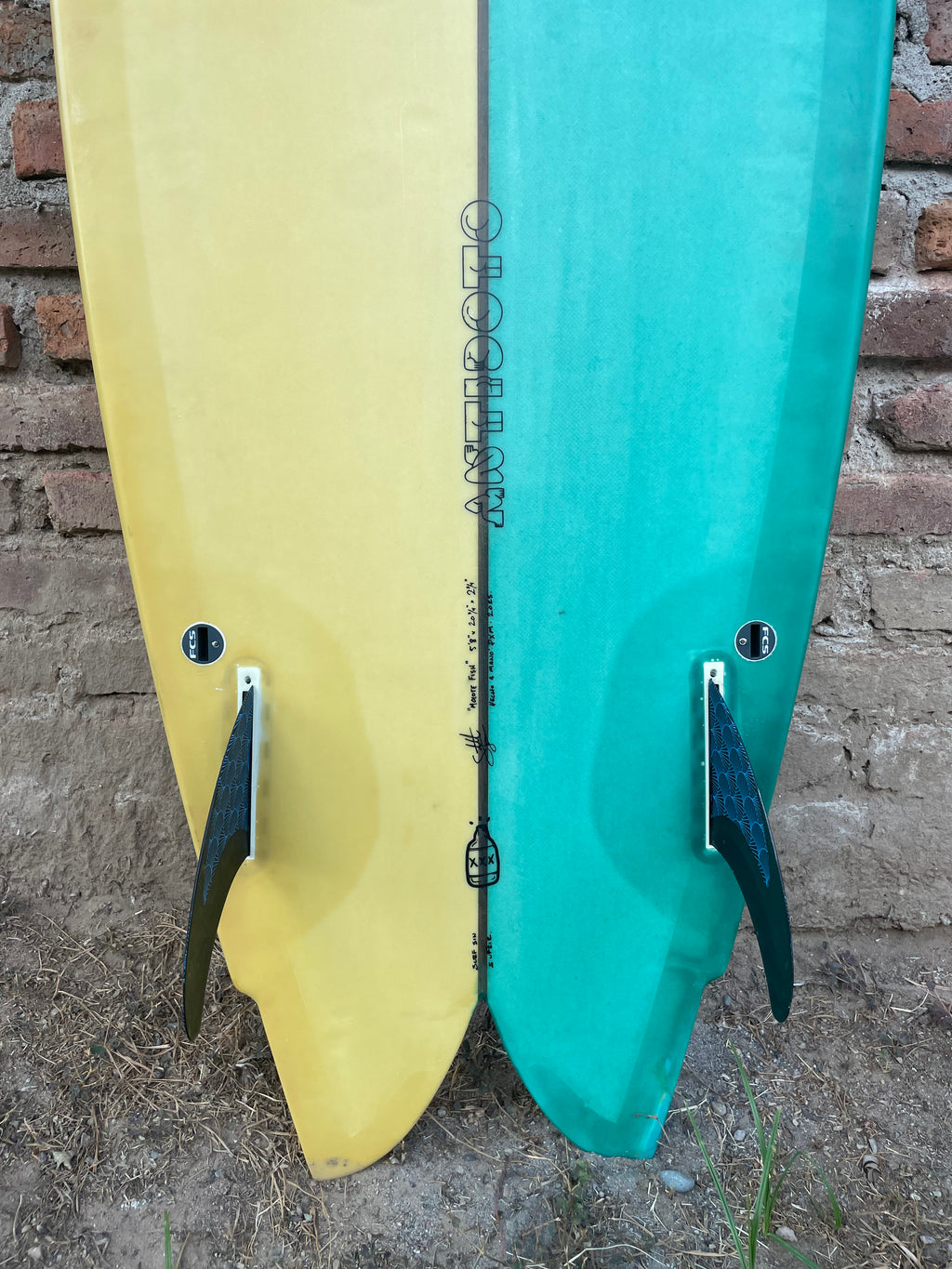 5'8'' Antidoto - Molote Fish